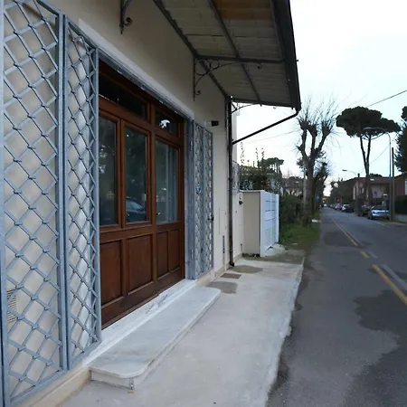 La Mimosa-3